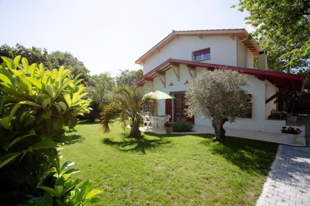 Villa Robert Shumann, A 700 M De La Plage Andernos-les-Bains Exterior photo